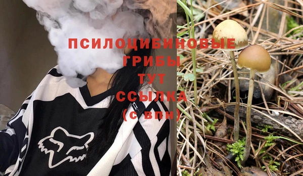 мет Рославль